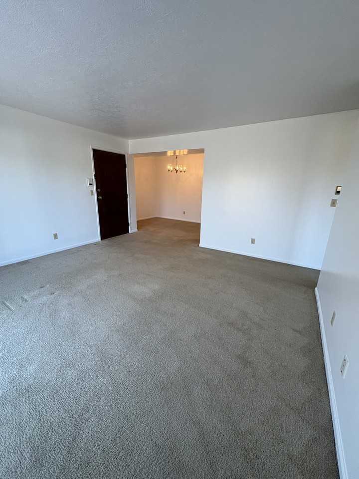 8 Griffin Court - Photo 4 of 10