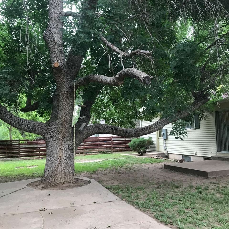 1227 City Park Ave #1 - Photo 4 of 22