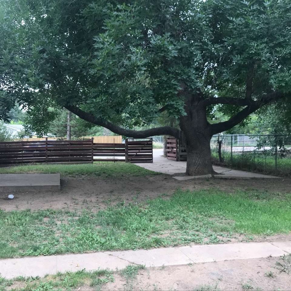 1227 City Park Ave #1 - Photo 5 of 22