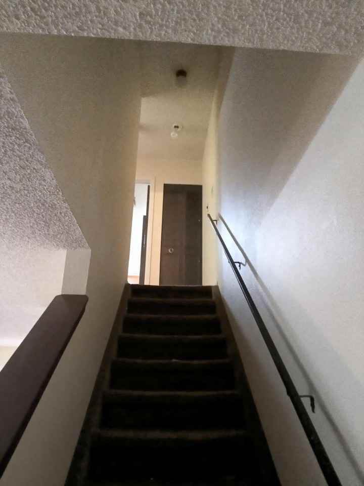 1355 Anita Street - Photo 5 of 7