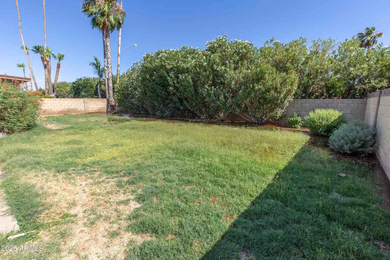 7911 E Via De Belleza - Photo 5 of 37