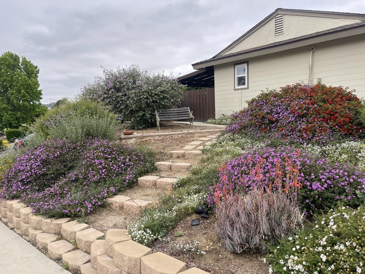 9556 1/2 Cecilwood Dr #9556-1-2 - Photo 2 of 25