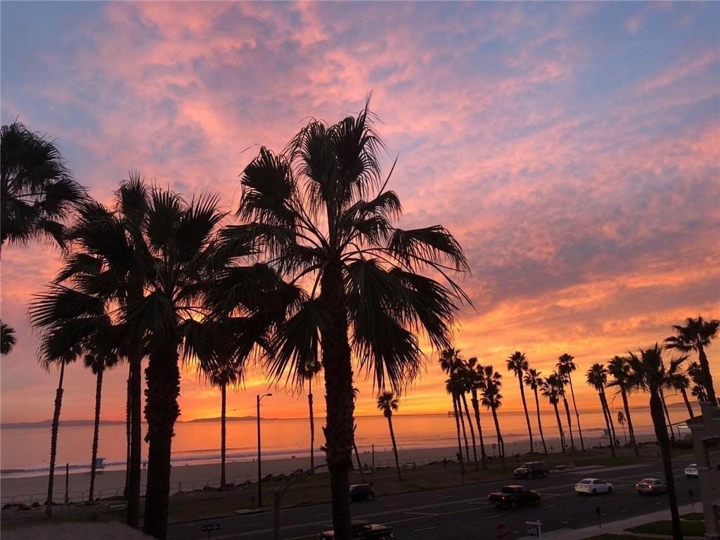 1516 Pacific Coast Hwy #304 - Photo 3 of 30