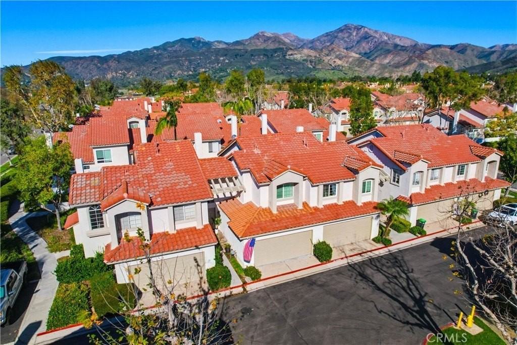 3 Orchid - Photo 2 of 50