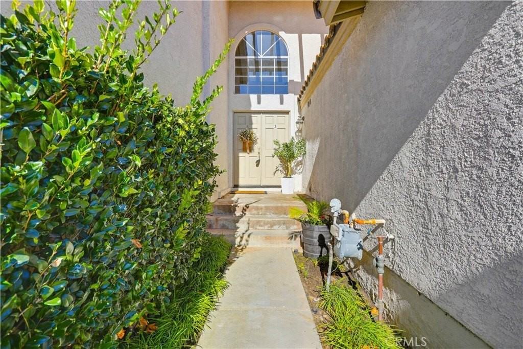 3 Orchid - Photo 3 of 50