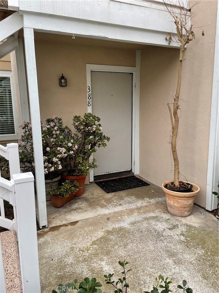 34006 Selva Rd #388 - Photo 2 of 6