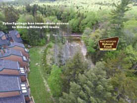 28 Tyler Spring Way #20 - Photo 1 of 1