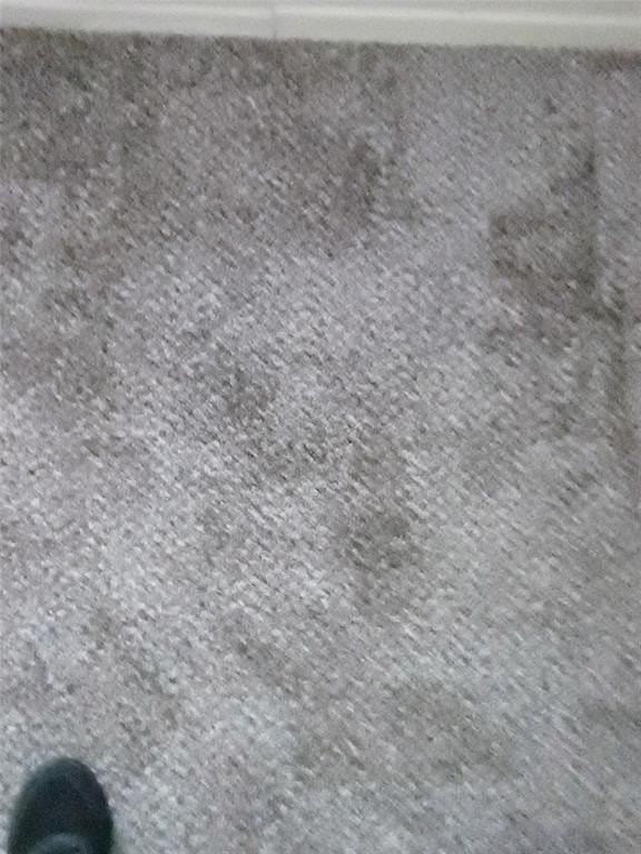 1303 E Boynton St - Photo 7 of 15