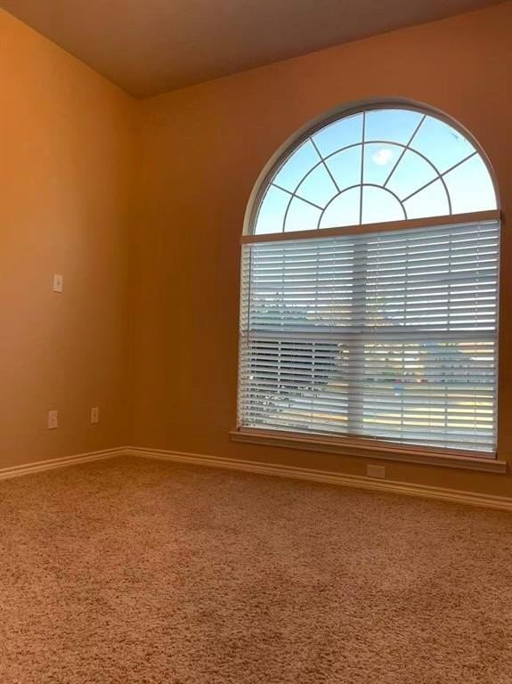 3783 Musketeer Dr - Photo 7 of 21