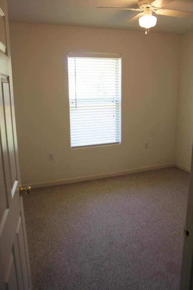 8617 Olivera St - Photo 2 of 22