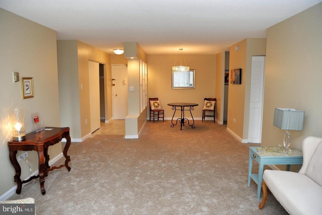 4600 S Four Mile Run Dr Apt 106 #106 - Photo 4 of 11