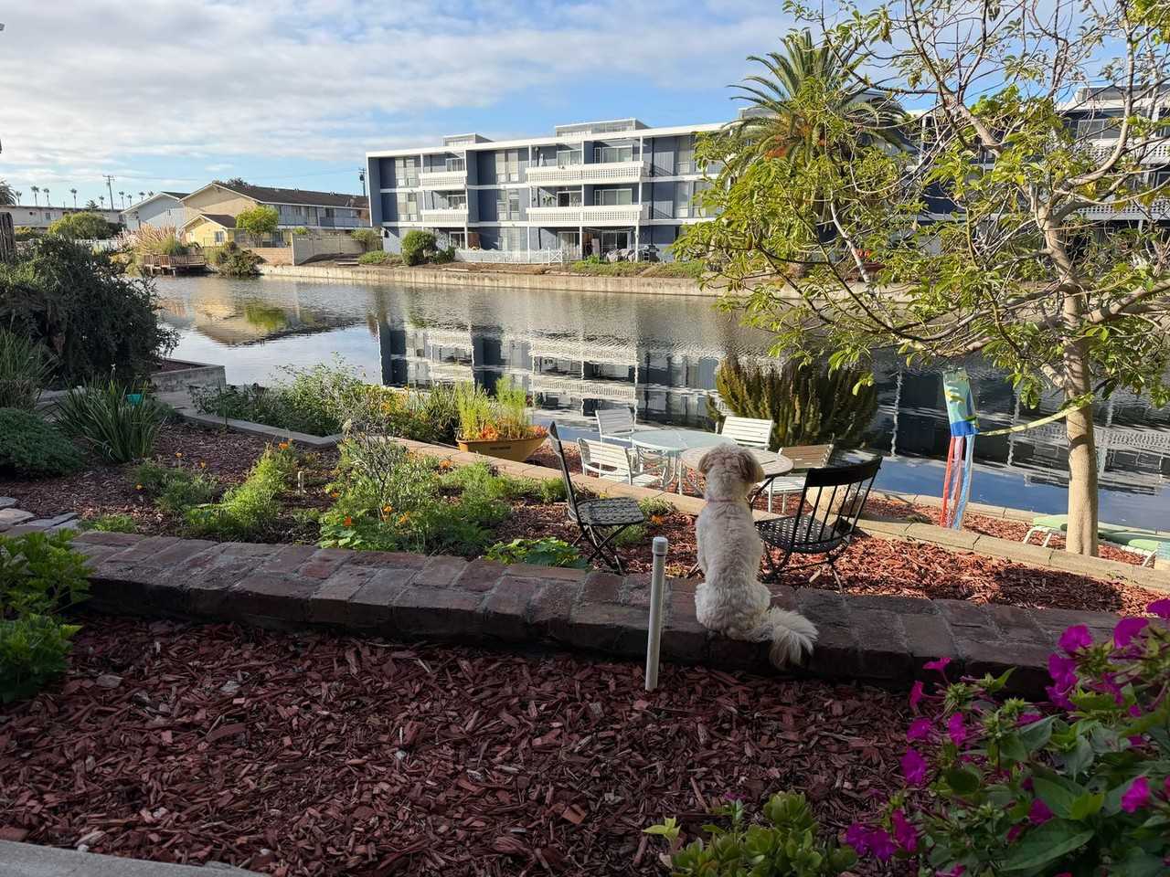 867 Walnut St Apt B - Photo 4 of 14