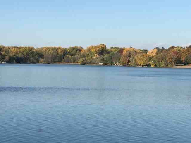 329 Geneva Ave N #204 - Photo 3 of 27