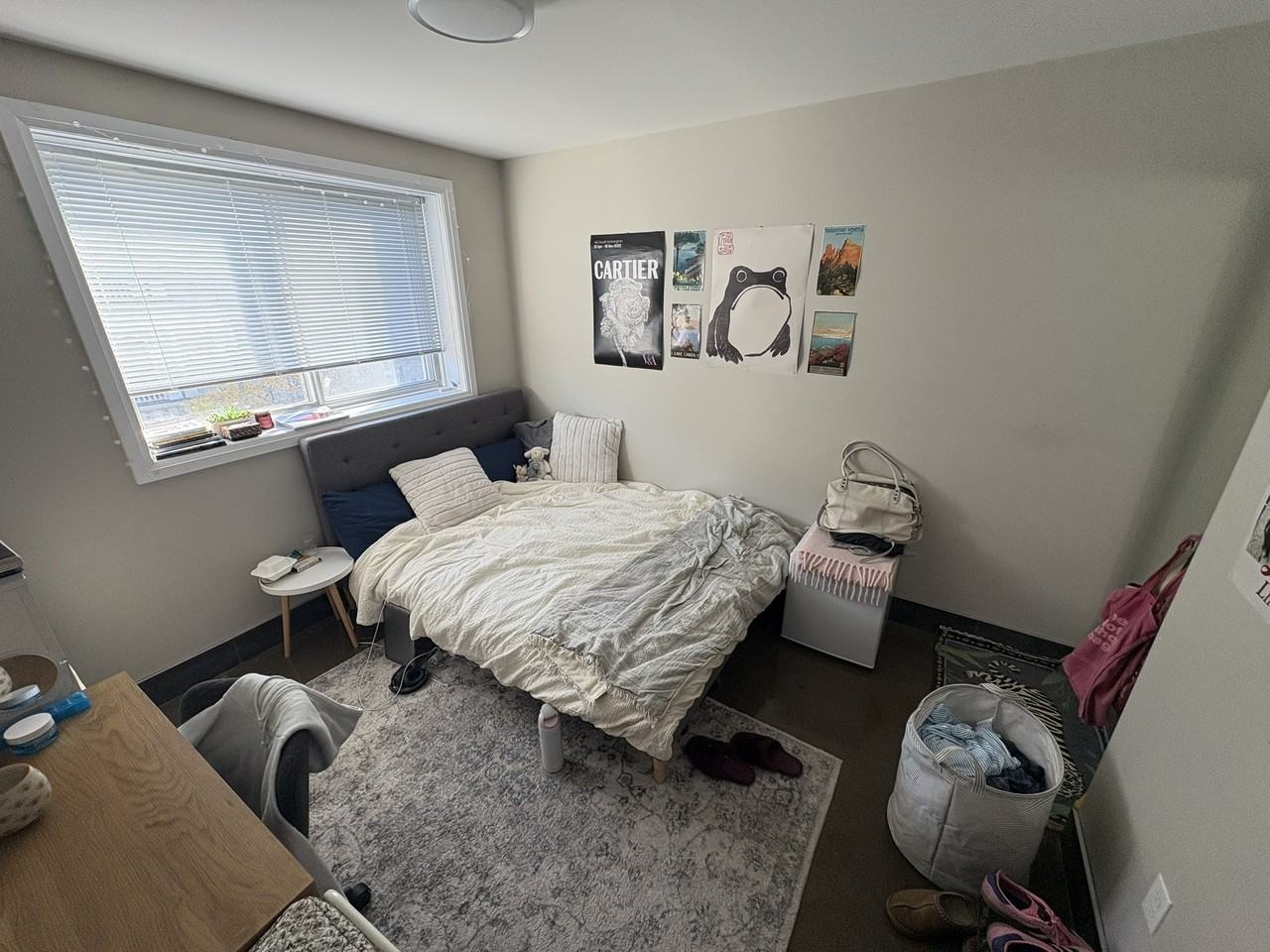 122 Sydenham Street - Photo 3 of 12