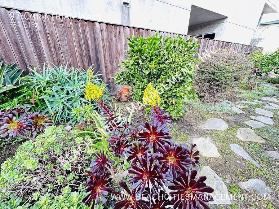 97 Corinthian Walk - Photo 3 of 16