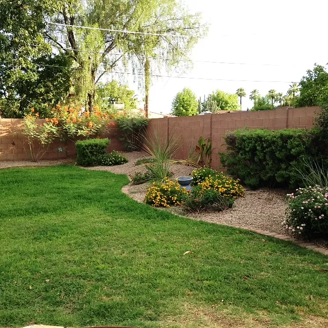 2519 E Montecito Ave - Photo 5 of 16