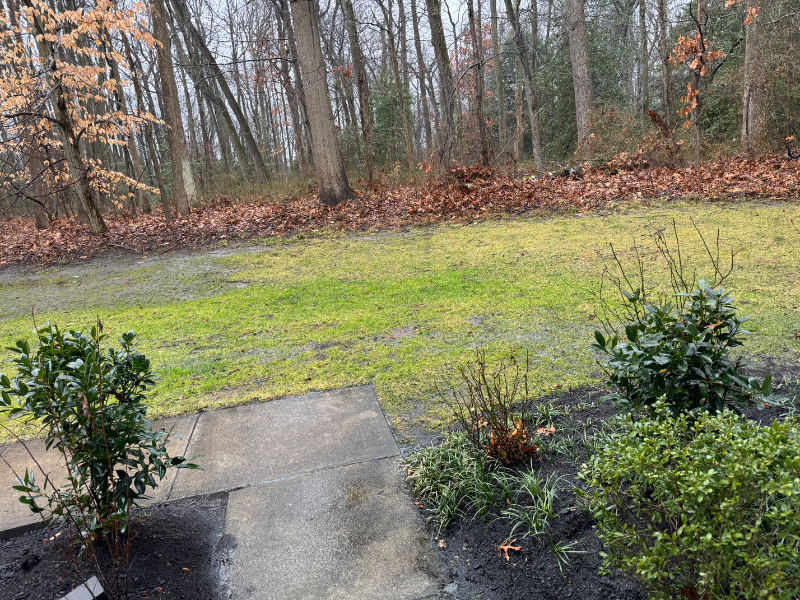 703 Quail Rd - Photo 2 of 13