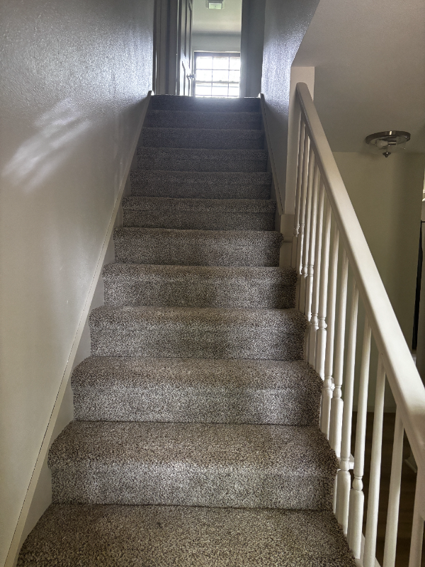 27831 Homestead Rd - Photo 5 of 20