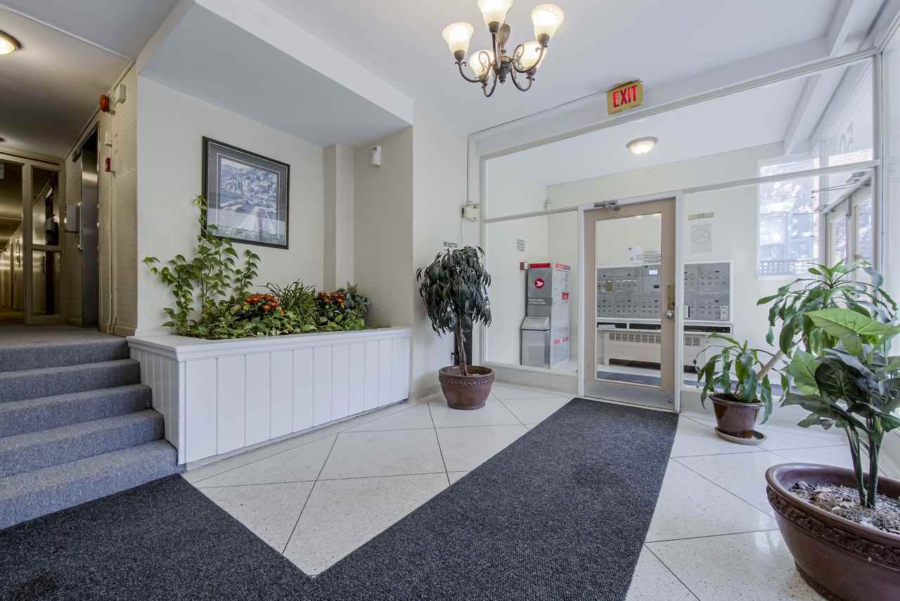 50 Walmer Road - Photo 2 of 9