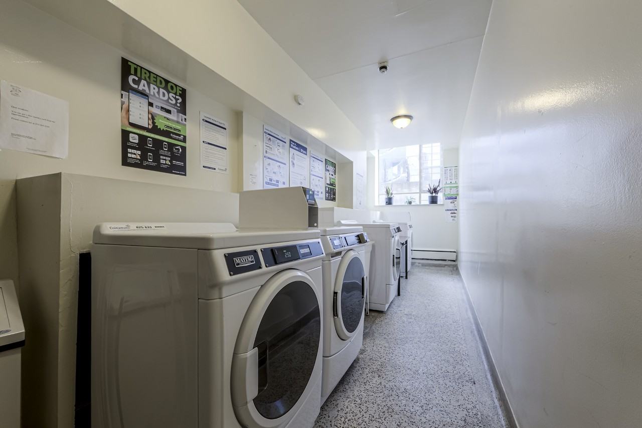 50 Walmer Road - Photo 7 of 9