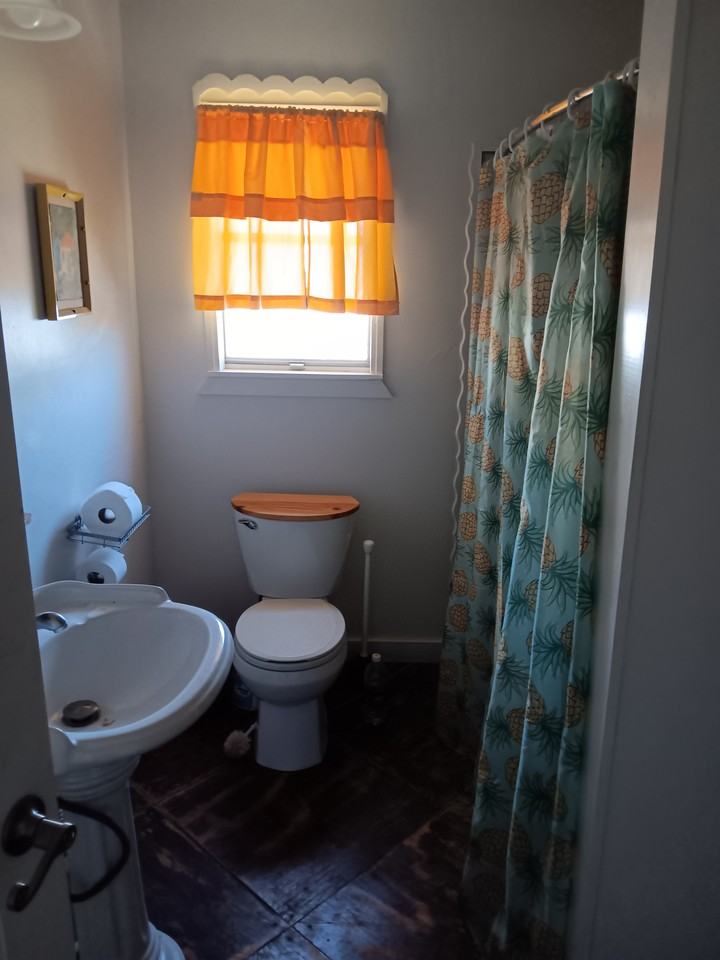 2214 Buena Vista St #2ndFL - Photo 3 of 6