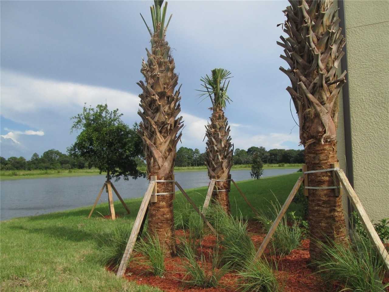 20209 Lagente Cir - Photo 2 of 22