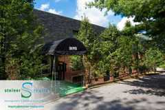 Piper - Photo 1 of 1