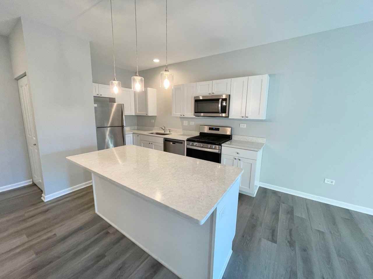 301 N Madison St Apt 1e #1E - Photo 2 of 16