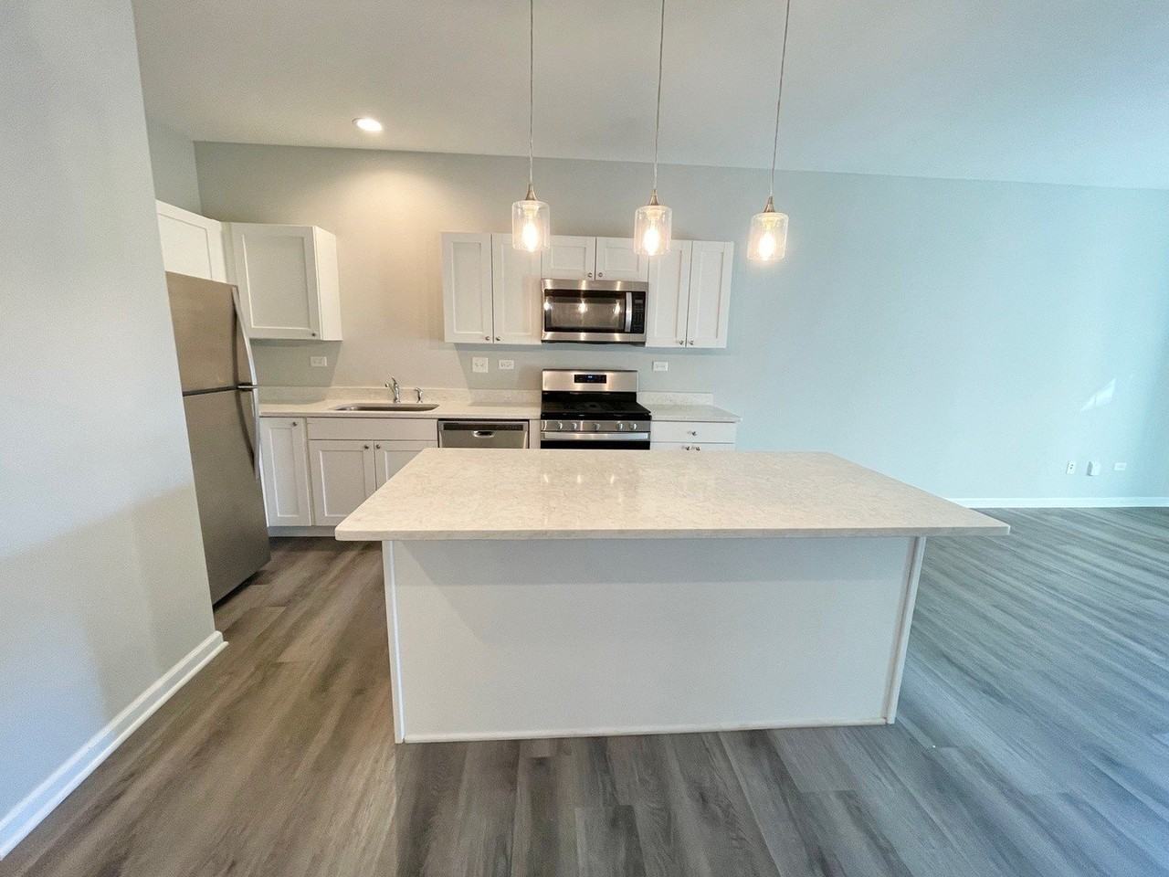 301 N Madison St Apt 1e #1E - Photo 3 of 16