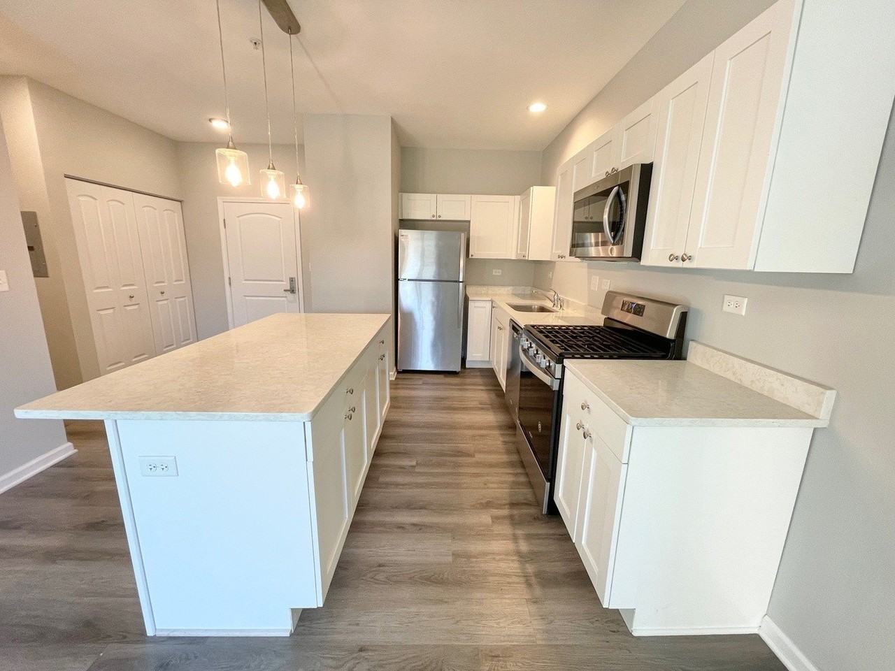 301 N Madison St Apt 1e #1E - Photo 4 of 16