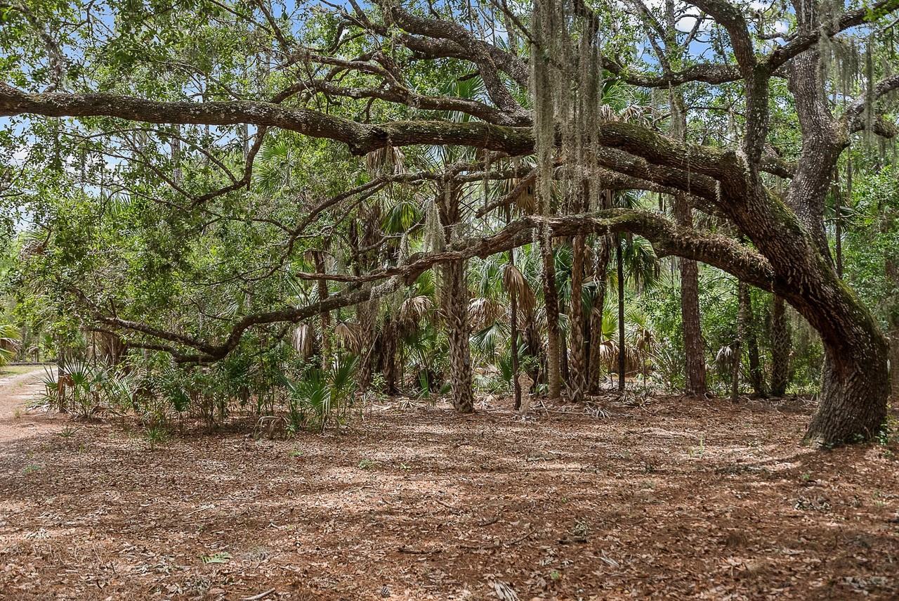 11511 Sw Citrus Blvd - Photo 3 of 17