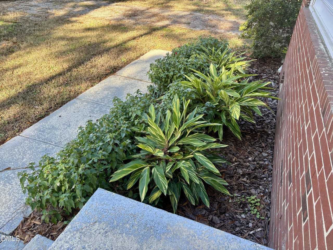 1019 Greenwich St - Photo 3 of 23