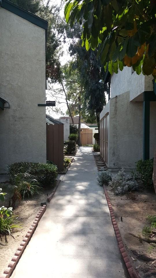 1919Syca - Photo 3 of 20