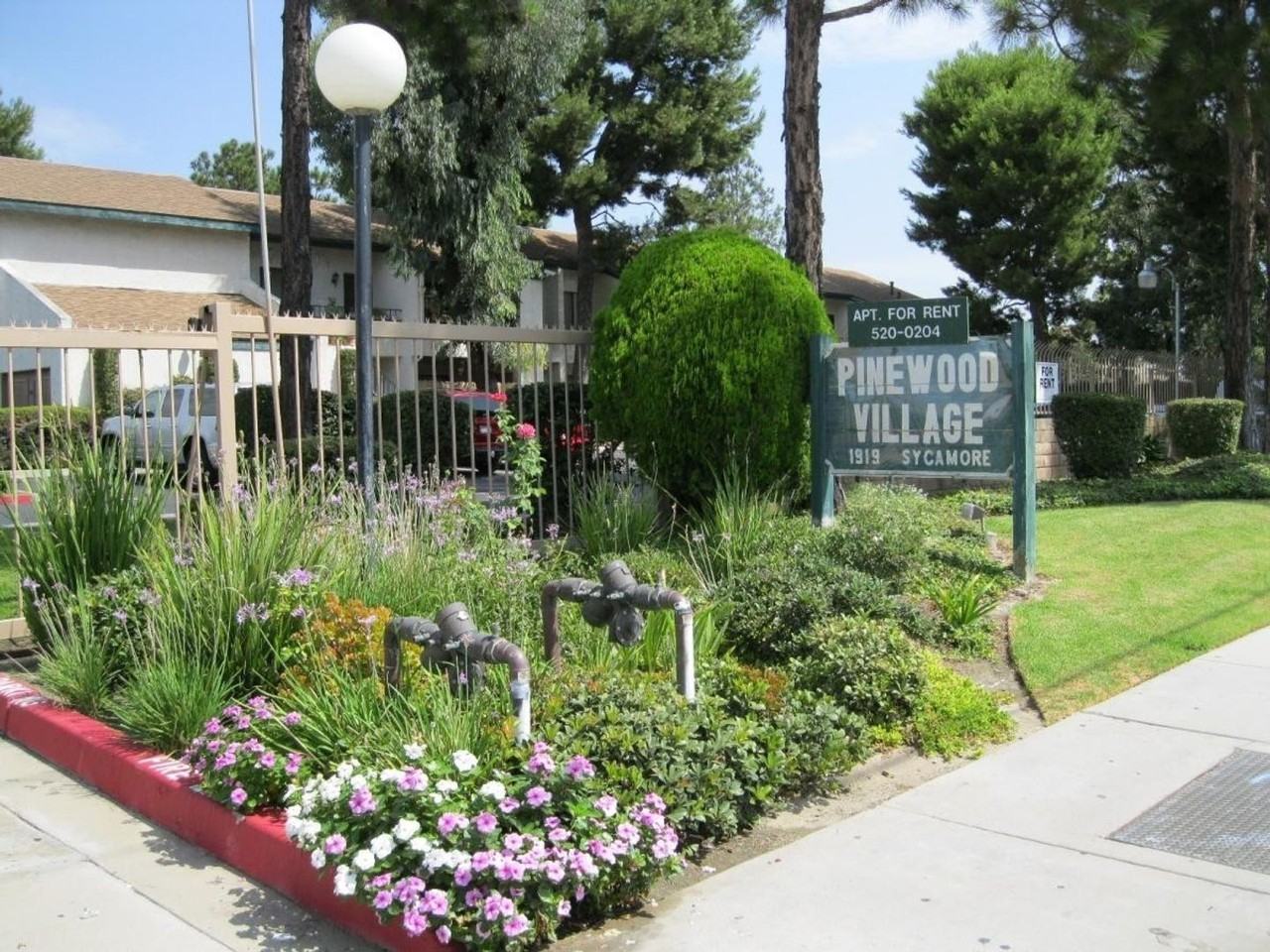 1919Syca - Photo 6 of 20