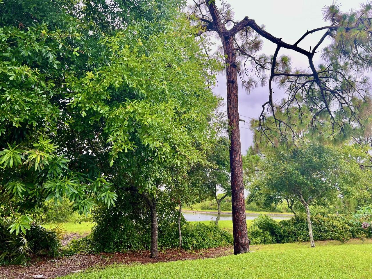 3140 Constellation Dr - Photo 2 of 25