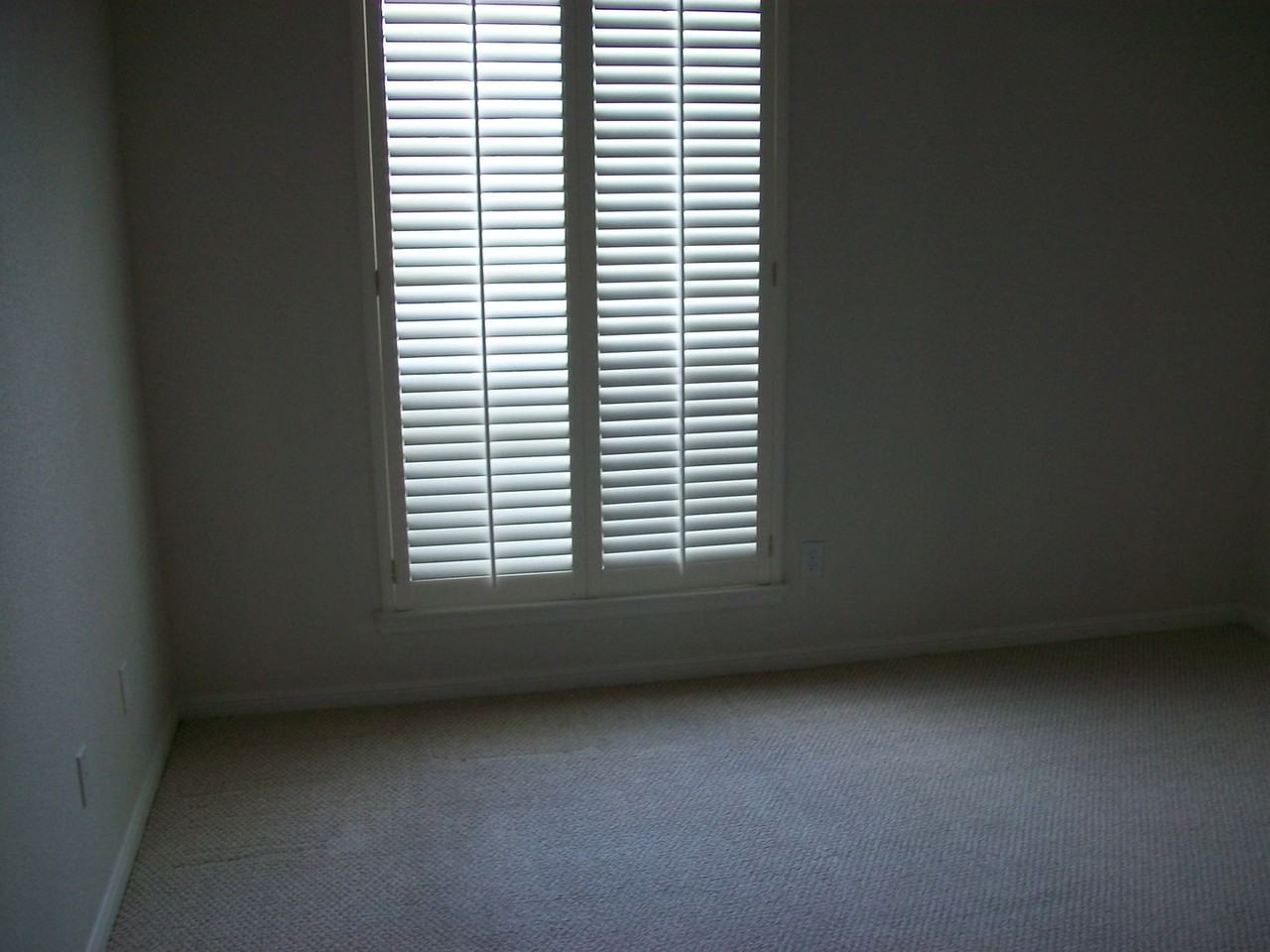 601 Llama Trl - Photo 2 of 24