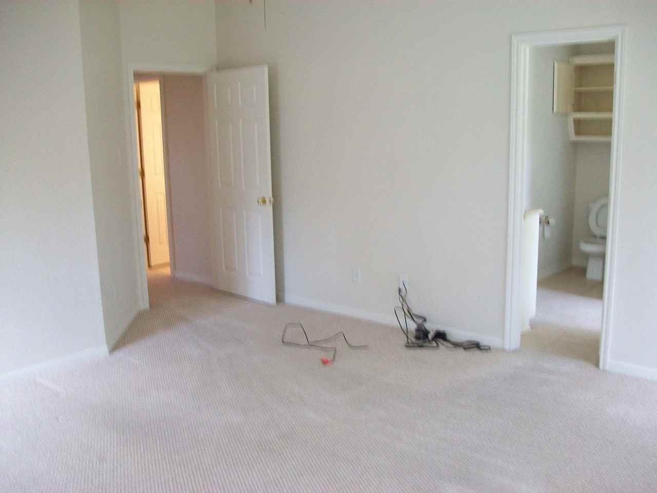 601 Llama Trl - Photo 6 of 24