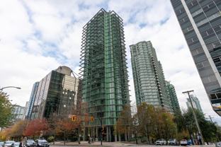 The Lions - Photo 1 of 1