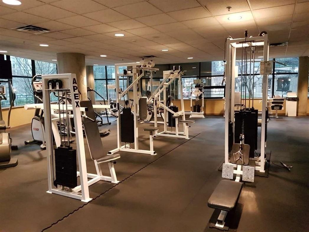 The Lions - Photo 3 of 4