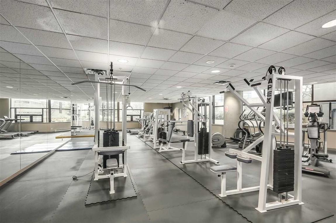 The Lions - Photo 4 of 4