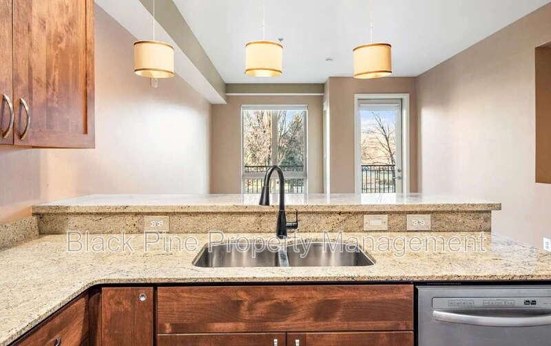 323 W Jefferson St #205 - Photo 4 of 28