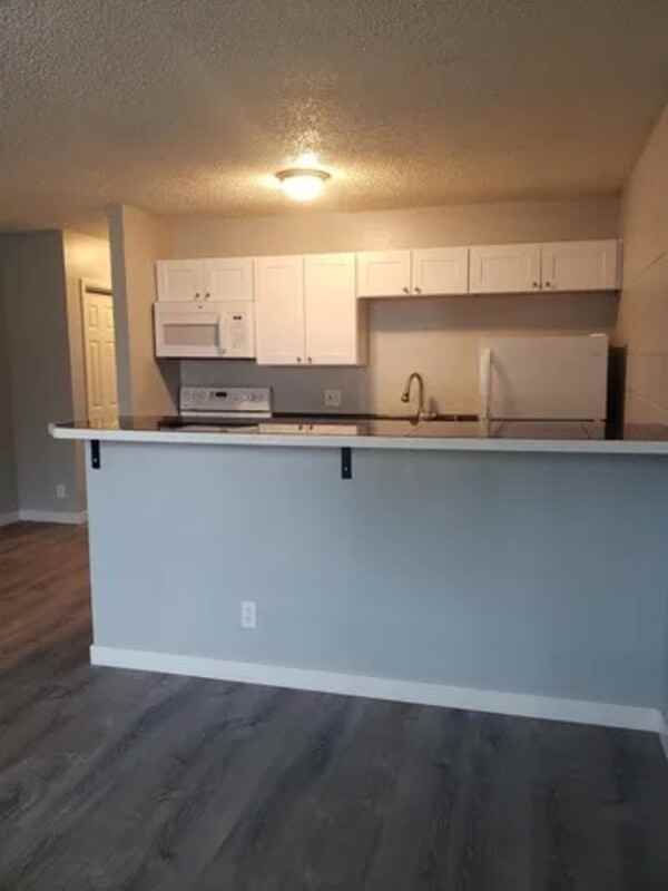 2229 Collyer St - Photo 2 of 9