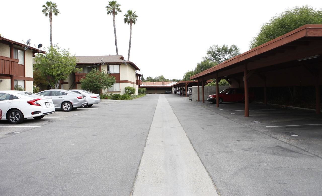 TAW - Tara Woods Gardens - Photo 7 of 42