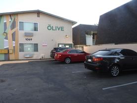 The Olive - Photo 1 of 1