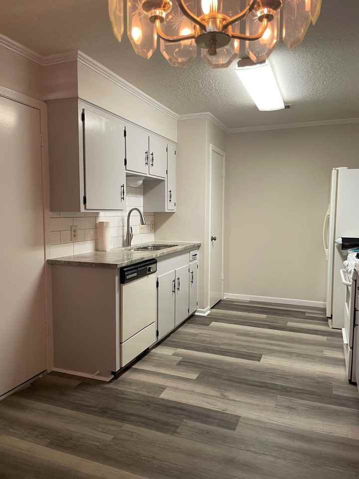 535 Hillebrandt St - Photo 7 of 23