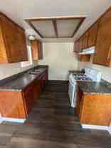 Oleander - Photo 1 of 1