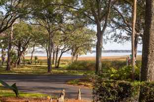 21 Cristina Ct - Photo 1 of 1