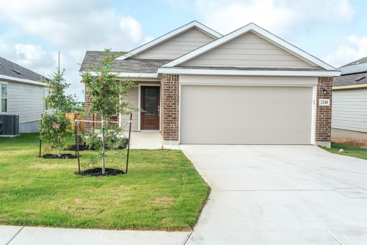 2340 Artic Warbler #1 - Photo 2 of 20