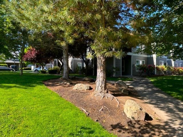 3141 Alameda St - Photo 4 of 22