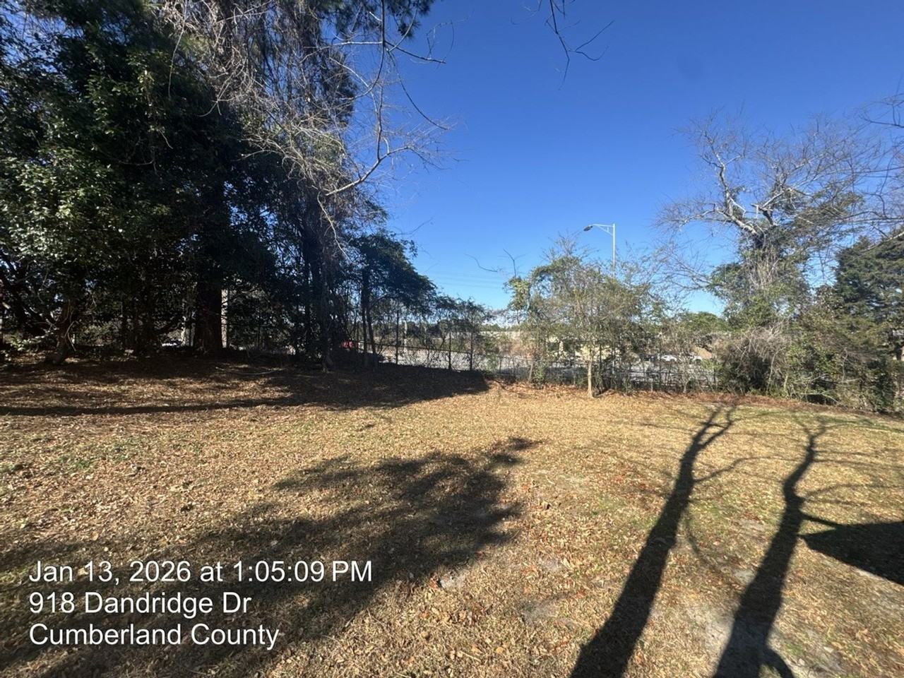 918 Dandridge Dr - Photo 3 of 21